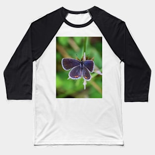 Common Blue Butterfly Baseball T-Shirt